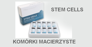 Stem Cells Komórki macierzyste